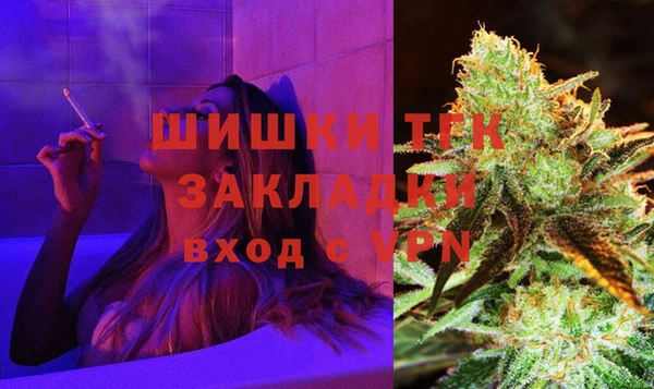 шишки Михайлов