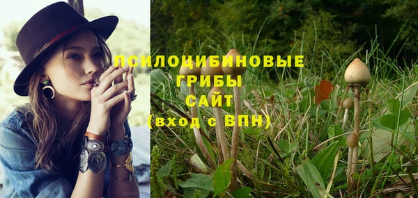 шишки Михайлов