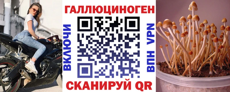 закладка  Сатка  Галлюциногенные грибы MAGIC MUSHROOMS 