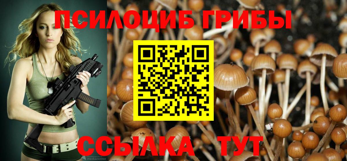 Псилоцибиновые грибы Psilocybine cubensis Сатка