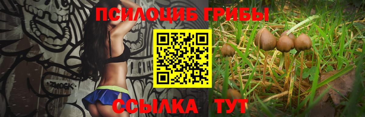 Галлюциногенные грибы мицелий  Вход с VPN  Сатка 